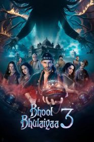 Bhool Bhulaiyaa 3 (2024) Sinhala Subtitles [සිංහල උපසිරැසි සමඟ]